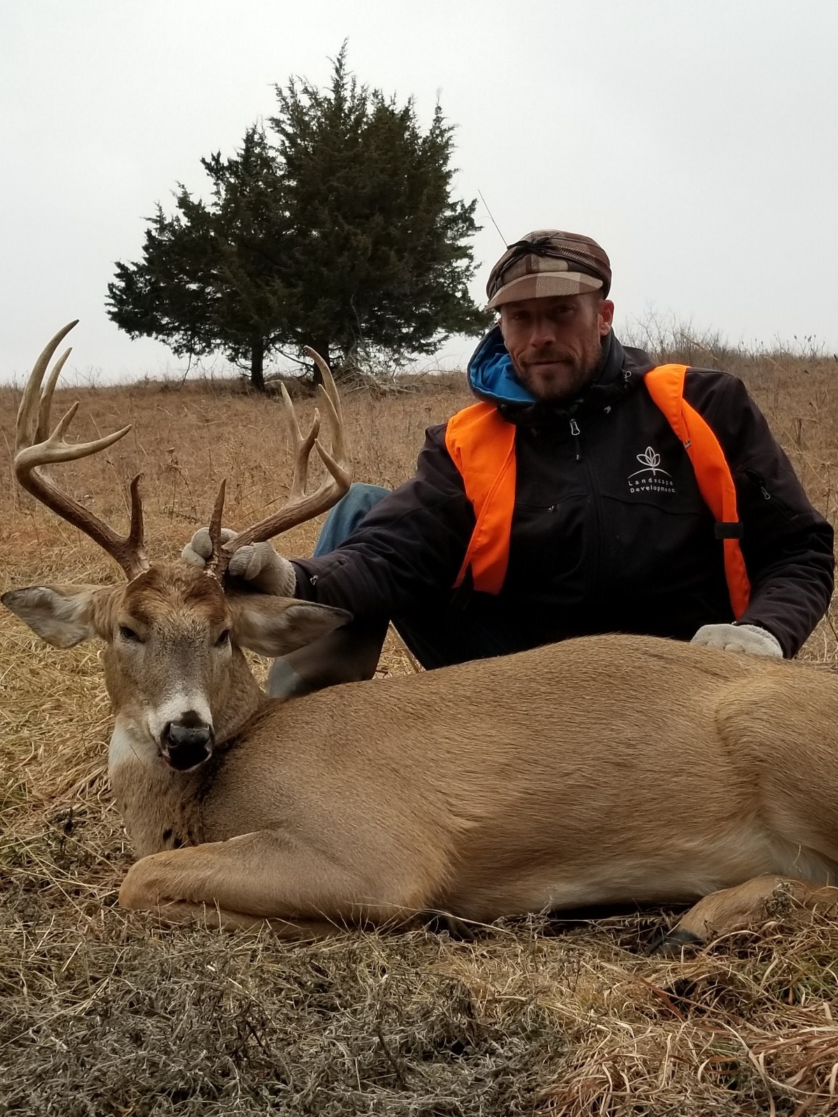 First Morning 11 Point