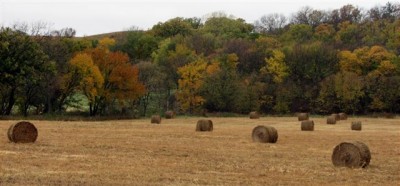 Flint Hills Scenery